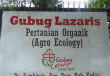 Imersi: Belajar dengan Alam di Gubug Lazaris
