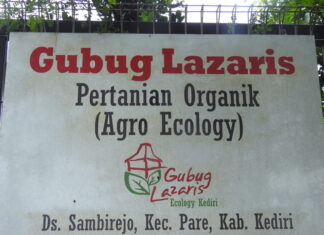 Imersi: Belajar dengan Alam di Gubug Lazaris