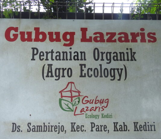 Imersi: Belajar dengan Alam di Gubug Lazaris